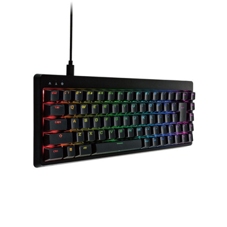 ELECOM TK-VK300SBK V custom ブラック [ゲーミングキーボード 有線 (銀軸 / スピードリニア) 日本語配列 USB Aポート×1]